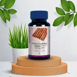 Main Product