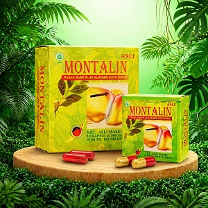Main Product